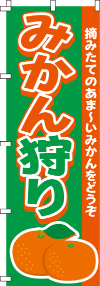 みかん狩りのぼり旗(60×180ｾﾝﾁ)_0100196IN