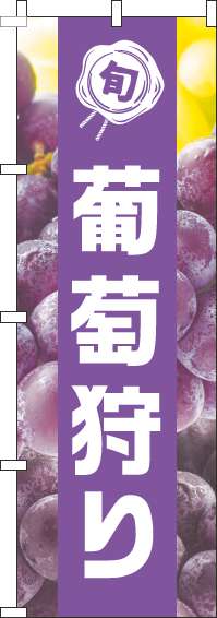葡萄狩りのぼり旗写真紫帯(60×180ｾﾝﾁ)_0100454IN