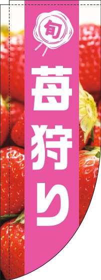 苺狩りのぼり旗写真ピンク帯Rのぼり(棒袋仕様)_0100457RIN