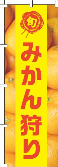 みかん狩りのぼり旗写真黄色帯(60×180ｾﾝﾁ)_0100495IN