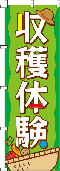 収穫体験緑のぼり旗(60×180ｾﾝﾁ)_0130468IN