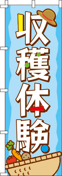 収穫体験水色のぼり旗(60×180ｾﾝﾁ)_0130469IN
