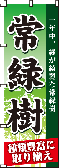 常緑樹のぼり旗(60×180ｾﾝﾁ)_0240112IN
