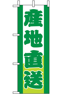 N-９５０１　産地直送　ミニのぼり　　【発送時期】2-3営業日後 (お取り寄せ商品)