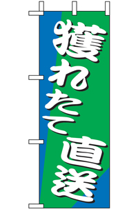 N-９５３７　獲れたて直送　ミニのぼり　　【発送時期】2-3営業日後 (お取り寄せ商品)