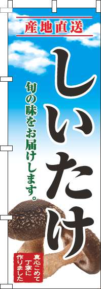 しいたけのぼり旗青空明(60×180ｾﾝﾁ)_0100678IN