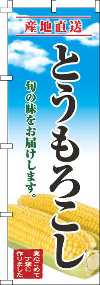 とうもろこしのぼり旗青空明(60×180ｾﾝﾁ)_0100687IN