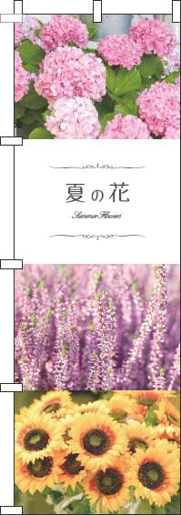 夏の花写真のぼり旗(60×180ｾﾝﾁ)_0240046IN