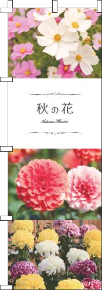 秋の花写真のぼり旗(60×180ｾﾝﾁ)_0240047IN