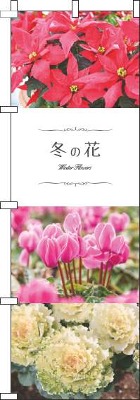 冬の花写真のぼり旗(60×180ｾﾝﾁ)_0240048IN