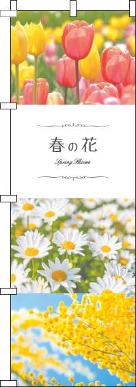 春の花写真のぼり旗(60×180ｾﾝﾁ)_0240072IN