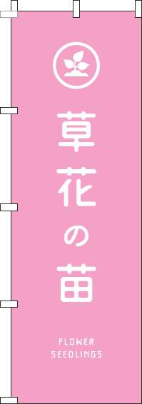 草花の苗のぼり旗ピンク(60×180ｾﾝﾁ)_0240129IN