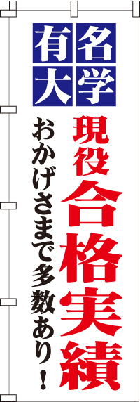 有名大学合格実績のぼり旗(60×180ｾﾝﾁ)_0270079IN