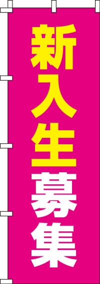 新入生募集ピンクのぼり旗(60×180ｾﾝﾁ)_0270098IN