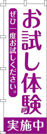 お試し体験実施中のぼり旗(60×180ｾﾝﾁ)_0270201IN