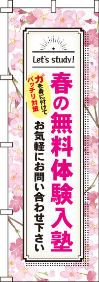 春の無料体験入塾桜のぼり旗(60×180ｾﾝﾁ)_0270207IN