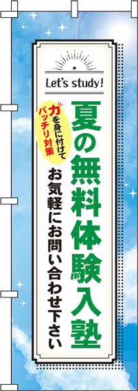 夏の無料体験入塾青空のぼり旗(60×180ｾﾝﾁ)_0270208IN