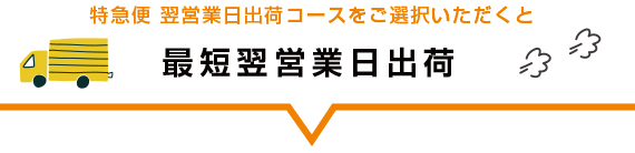 最短翌営業日出荷